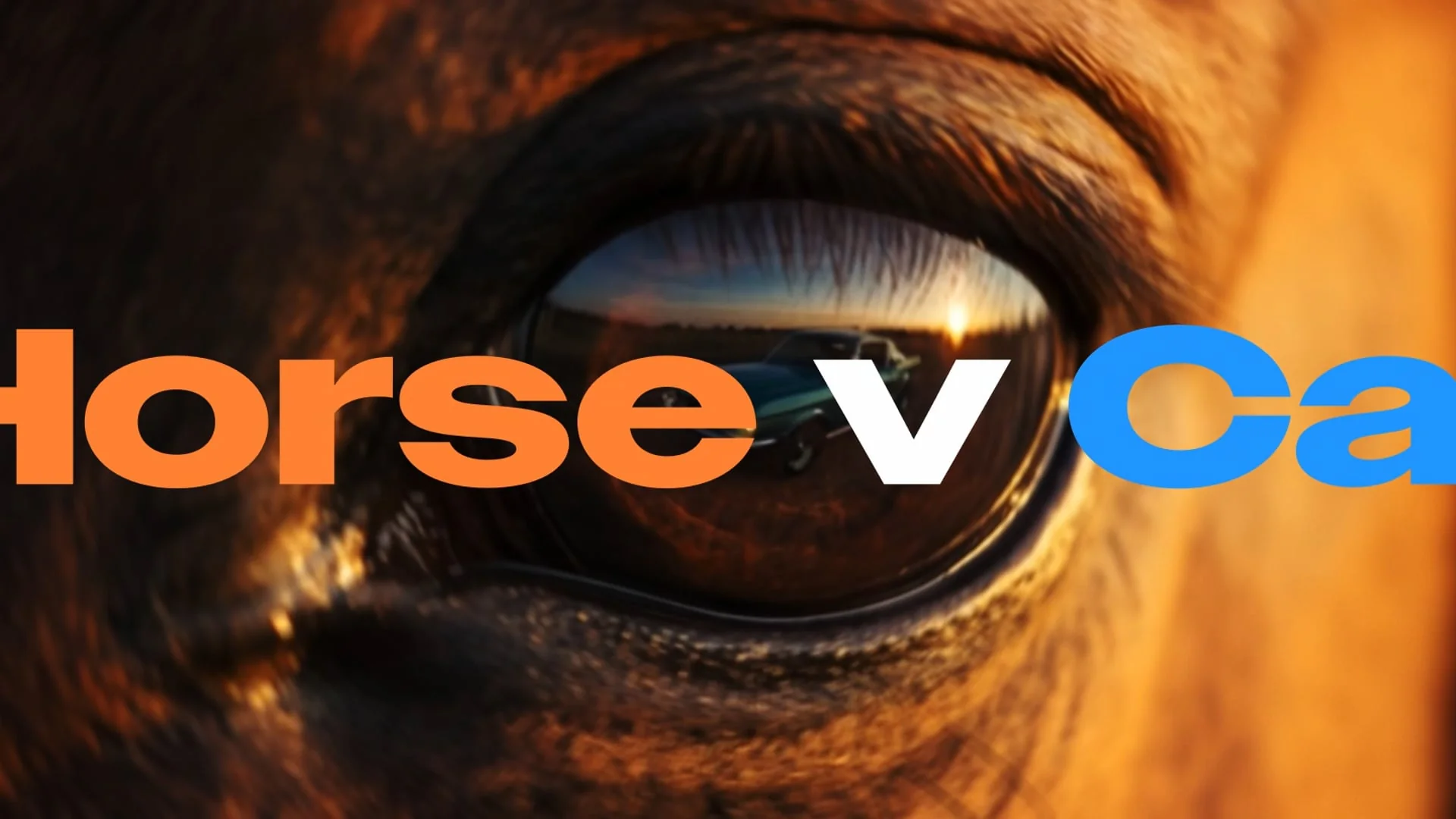 Horse v Car · iris reflection